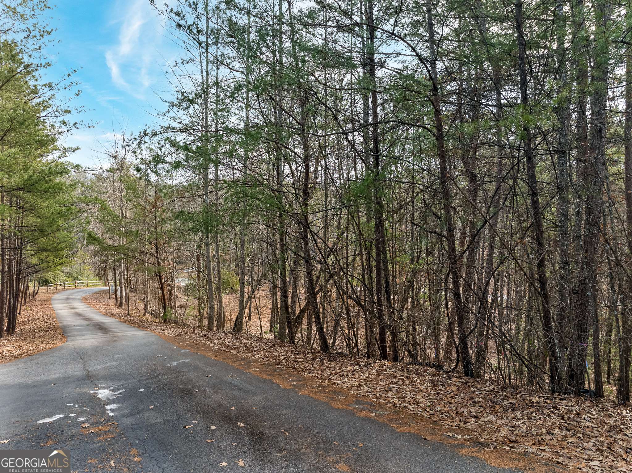 Mineral Bluff, GA 30559,LOT 11 Hawks Ridge DR