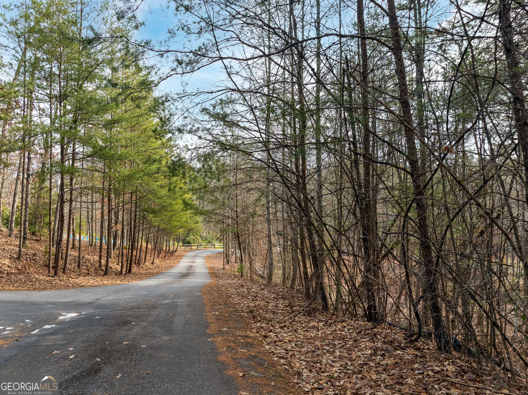 Mineral Bluff, GA 30559,LOT 11 Hawks Ridge DR