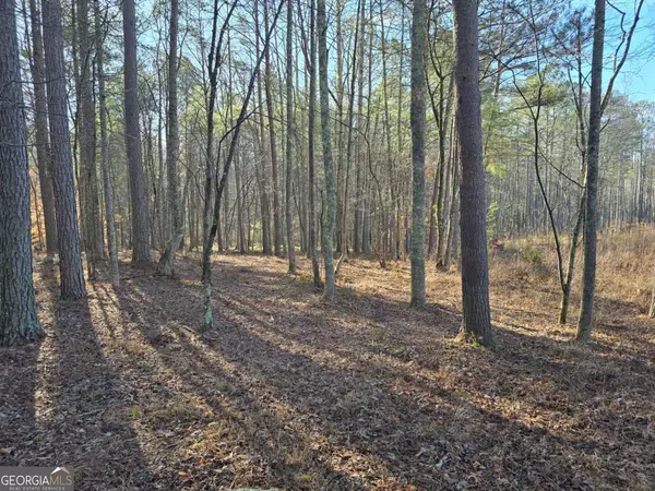 Talking Rock, GA 30175,0 Highgrove DR