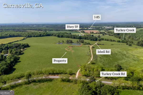 Carnesville, GA 30521,0 Turkey Creek RD #TRACT 2B