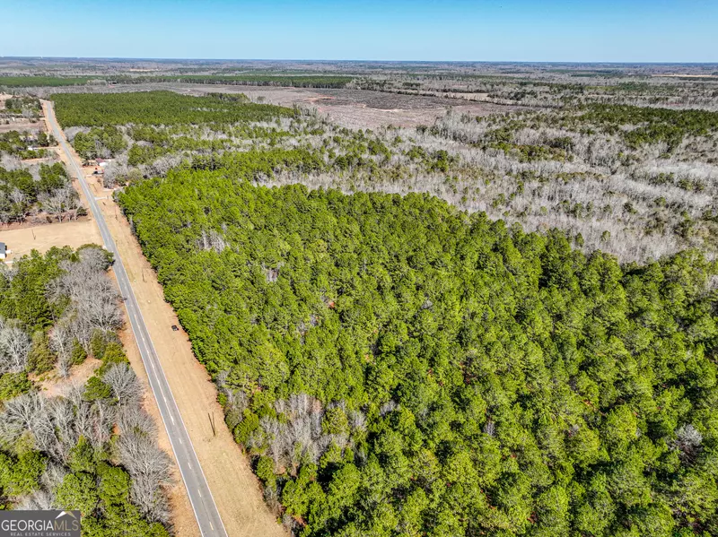 0 Buckeye RD, Tennille, GA 31089
