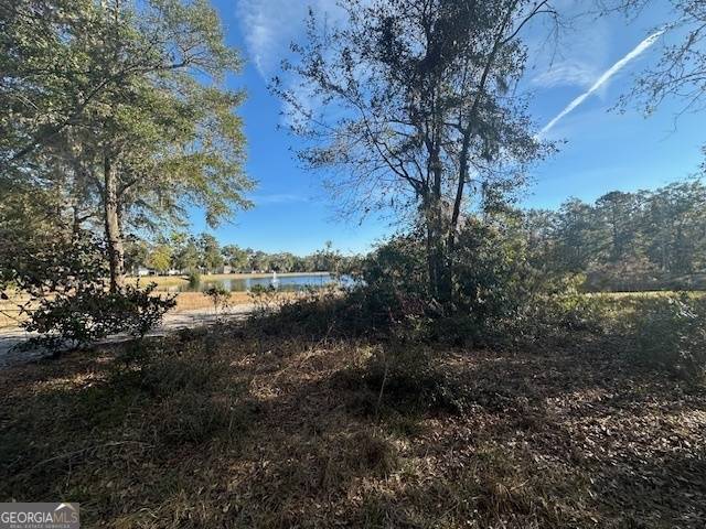 Waverly, GA 31565,V/L 276 Harbour Island CIR