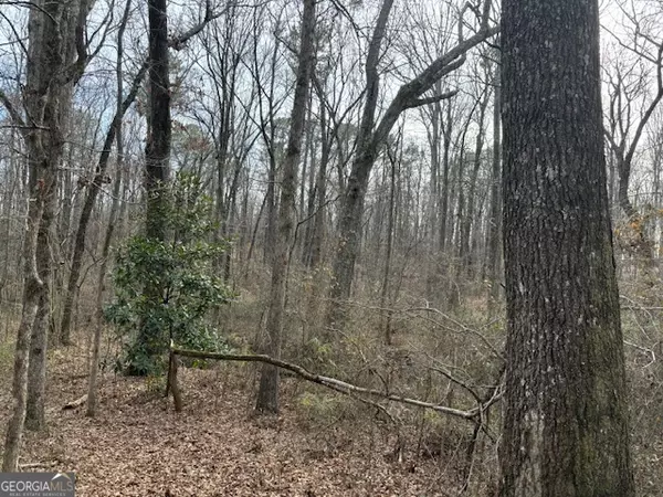 2994 Mt Zion RD ##3, Carrollton, GA 30117