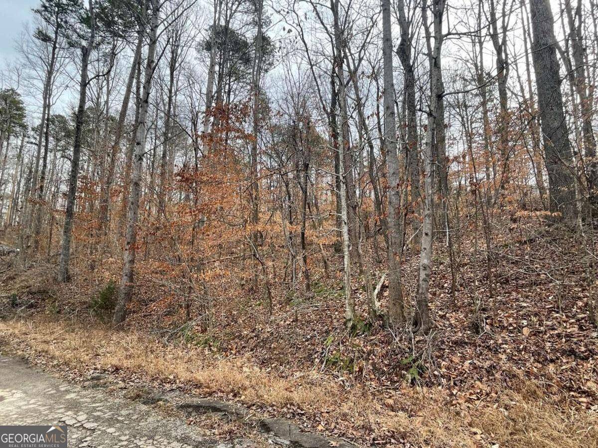 Martin, GA 30557,18 S Buckskin TRL