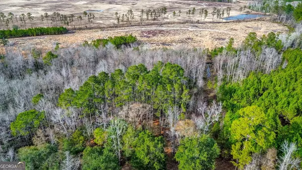 Bloomingdale, GA 31302,151 Douberly Hill RD