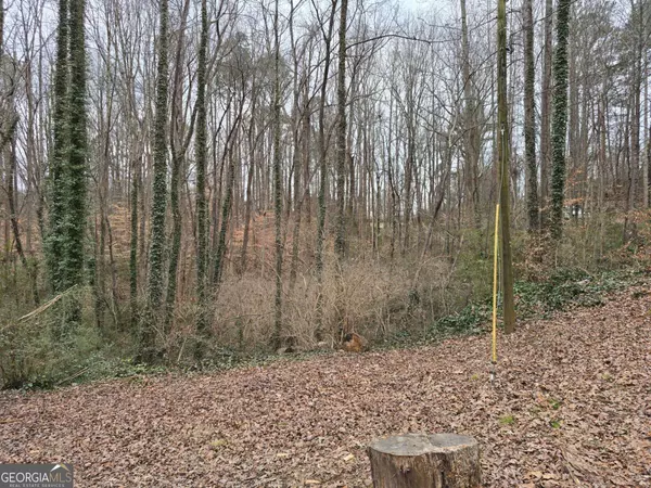 Talking Rock, GA 30175,111 Kudzu TRL S