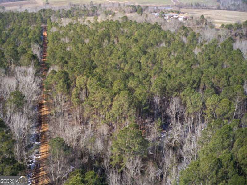 0 Jenk Hill RD, Sylvania, GA 30467