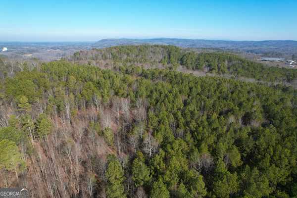 125 +/- Acres off GA Hwy 53 and Firetower Rd., Fairmount, GA 30139