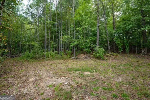 Whitesburg, GA 30185,0B Hwy 5 HWY