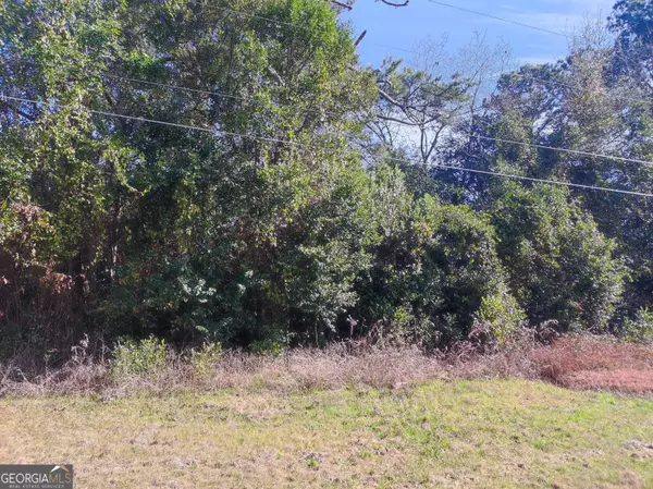 Oglethorpe, GA 31068,0 State Route 90 RD