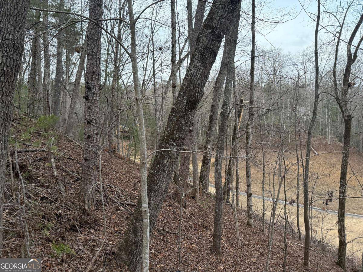 Clayton, GA 30525,LOT 100 Kingwood CT