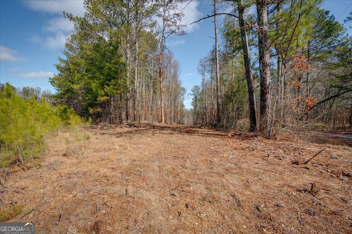 Taylorsville, GA 30178,0 John Kay RD
