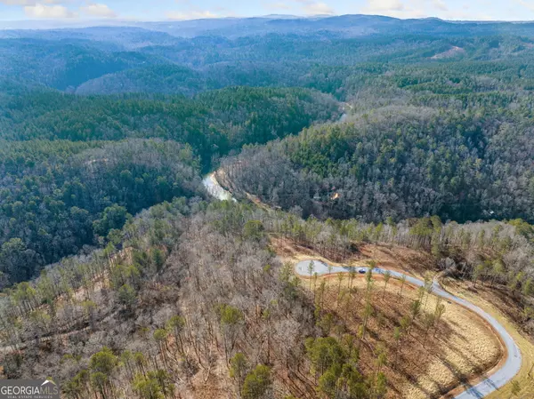 Ellijay, GA 30540,198 Blalock Mountain Crt