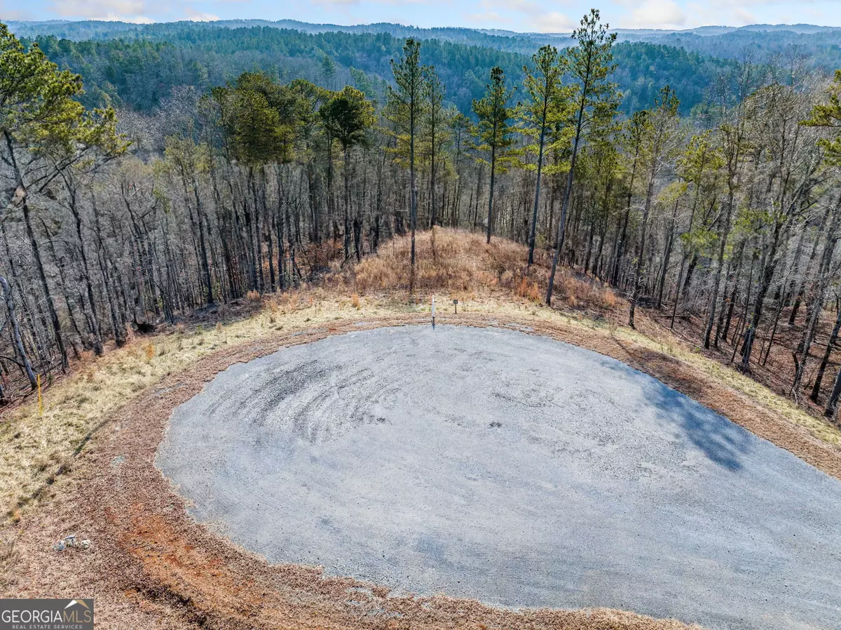 Ellijay, GA 30540,198 Blalock Mountain Crt