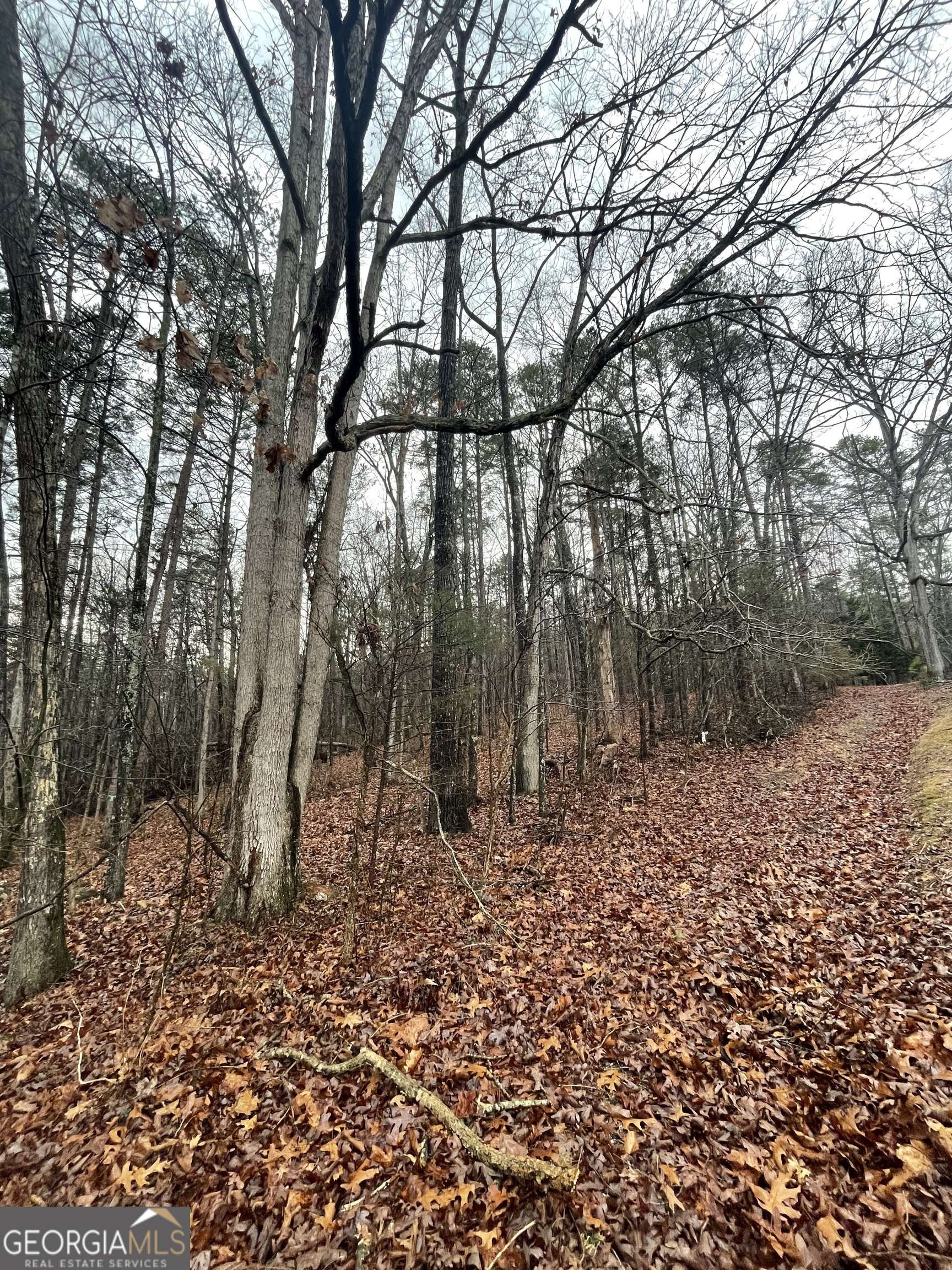 Kingston, GA 30145,0 connesena RD