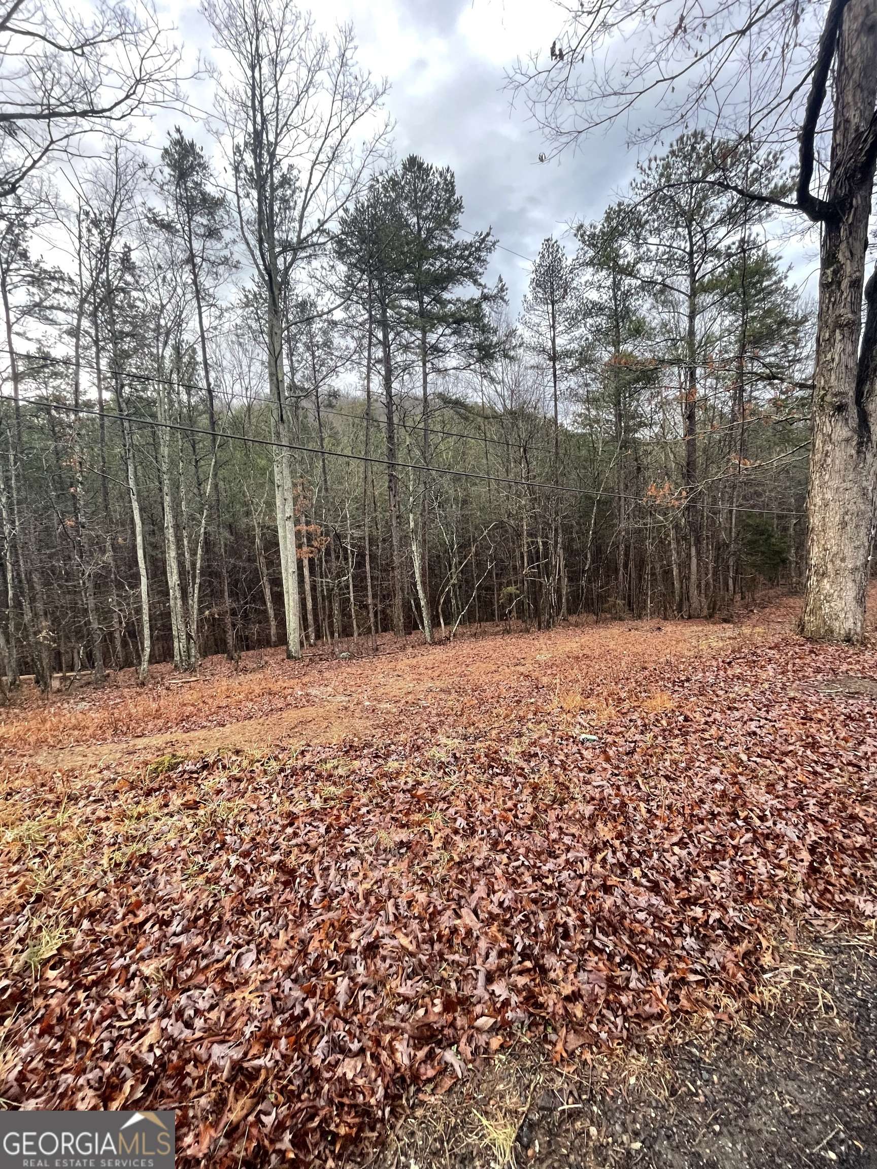 Kingston, GA 30145,0 connesena RD