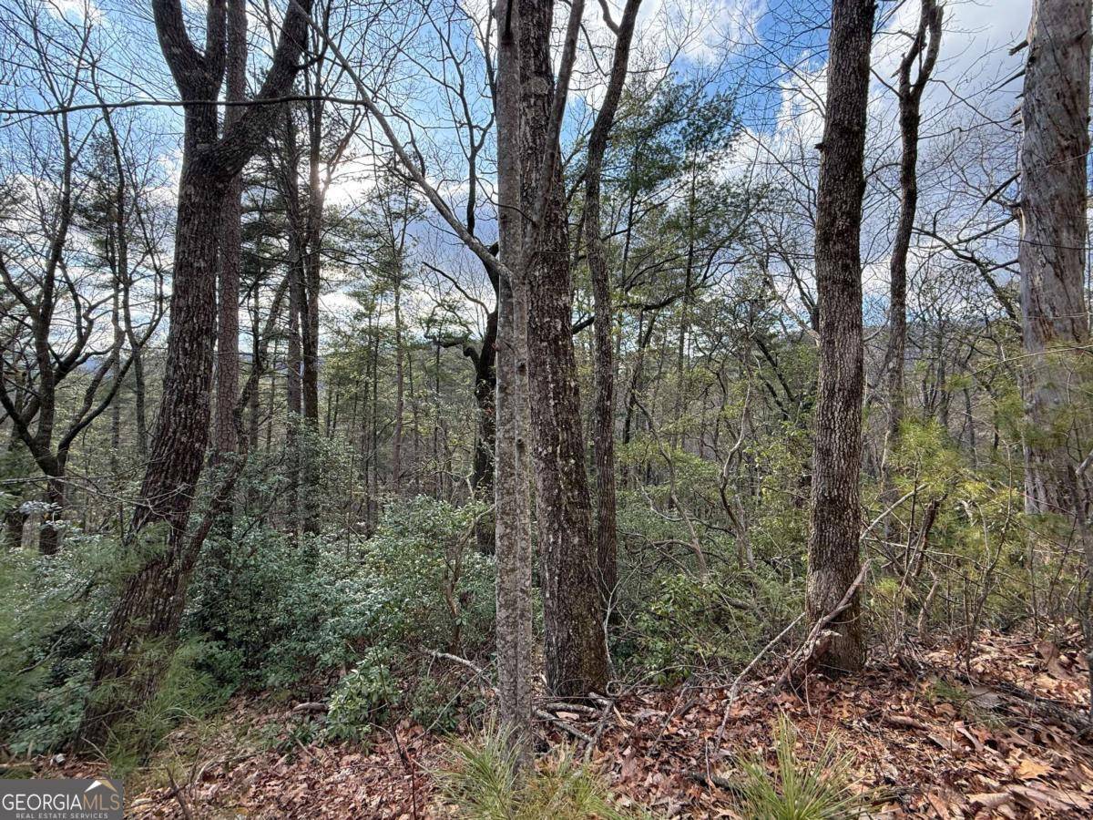 Clayton, GA 30525,LOT 103 Lancelot LOOP
