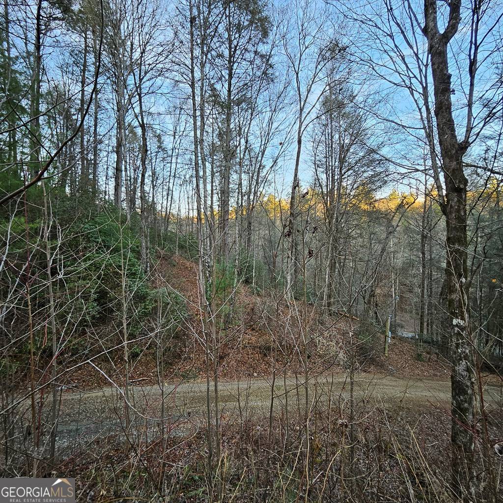 Ellijay, GA 30540,3409 Flagpole RD