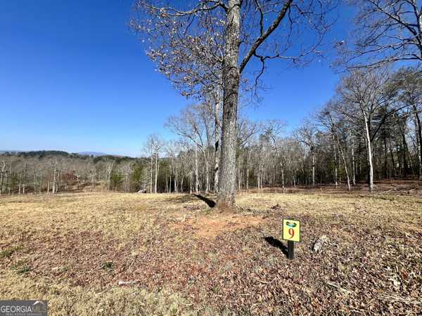 9 Arbor Creek, Mineral Bluff, GA 30559