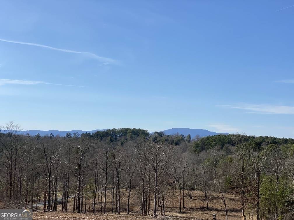 Mineral Bluff, GA 30559,10 Arbor Creek TRL
