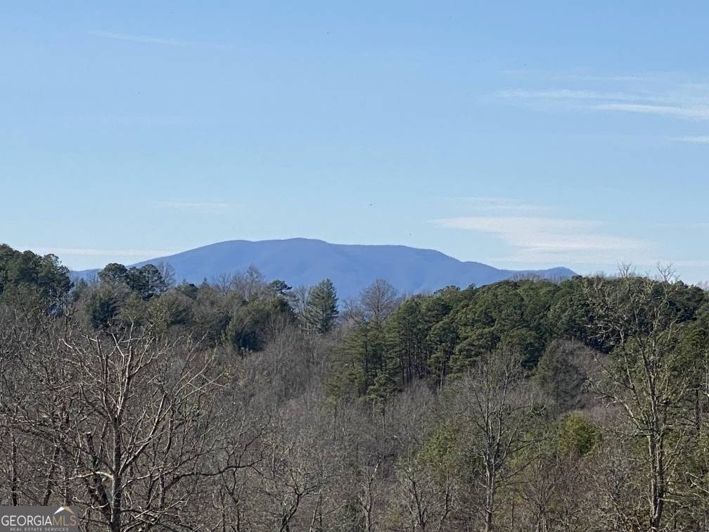 Mineral Bluff, GA 30559,10 Arbor Creek TRL