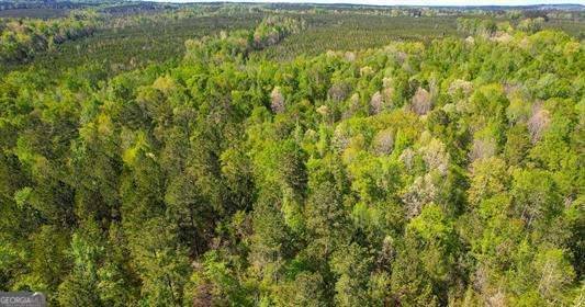 Eatonton, GA 31024,LOT 2 Old Copelan RD