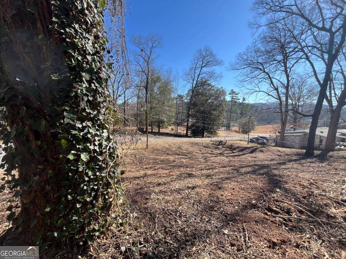 Blue Ridge, GA 30513,59 Bradley ST