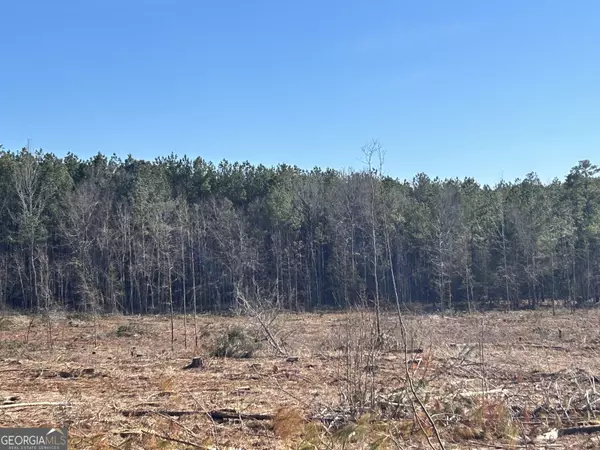 Sparta, GA 31087,0 McGhee RD