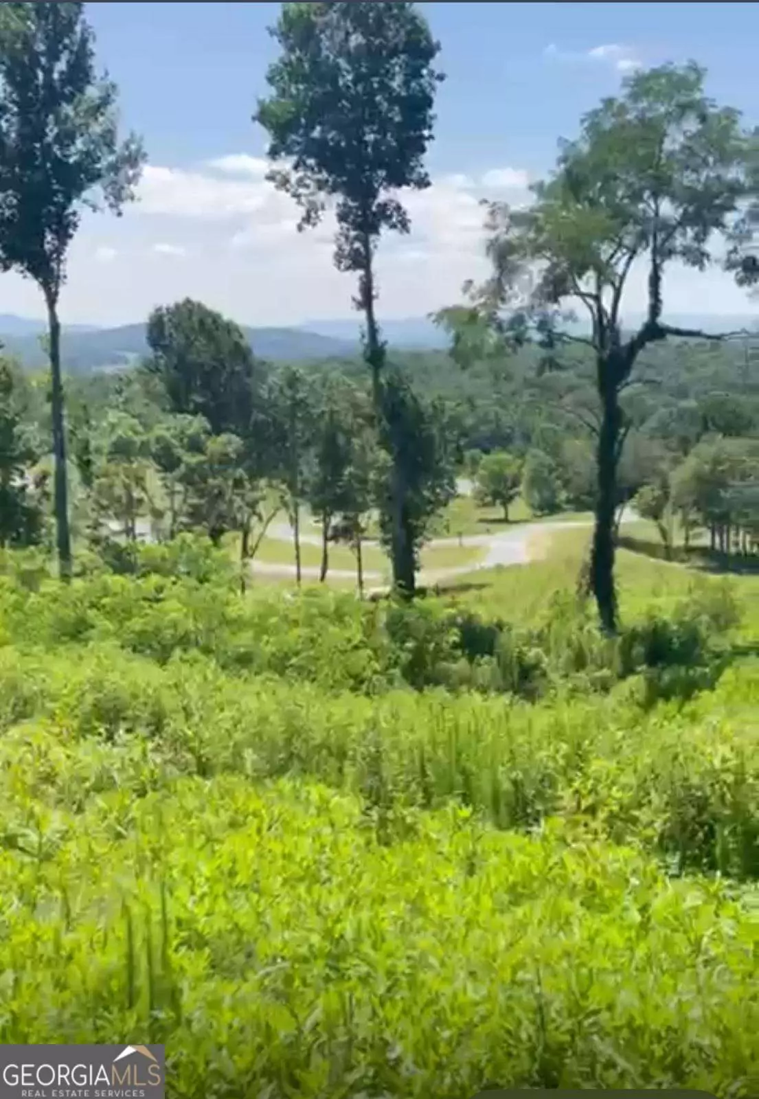Morganton, GA 30560,160 Big Valley DR