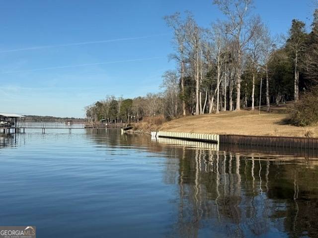 Fort Gaines, GA 39851,121 Pataula Heights LN