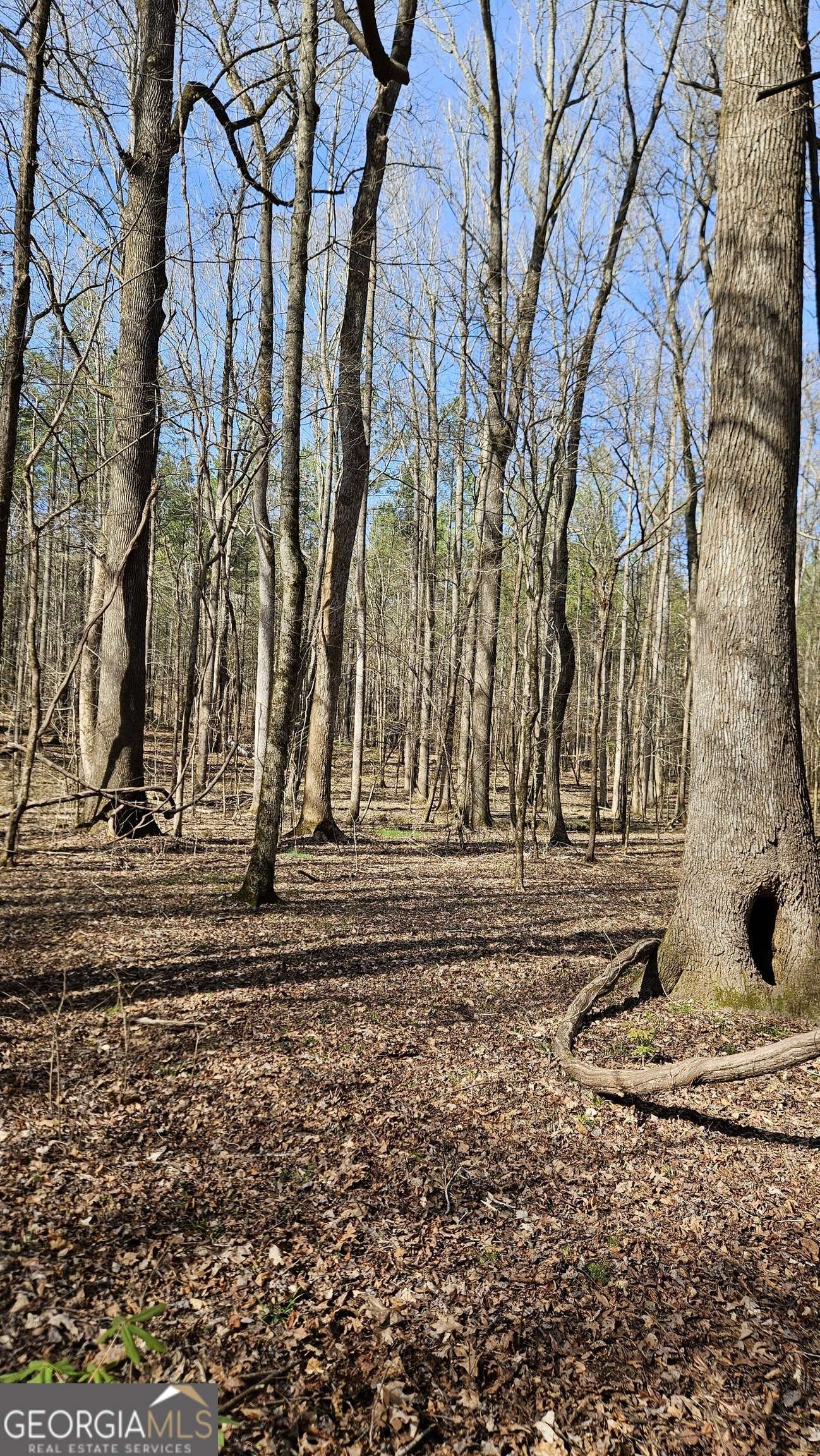 Madison, GA 30650,1121 Apalachee Meadows DR