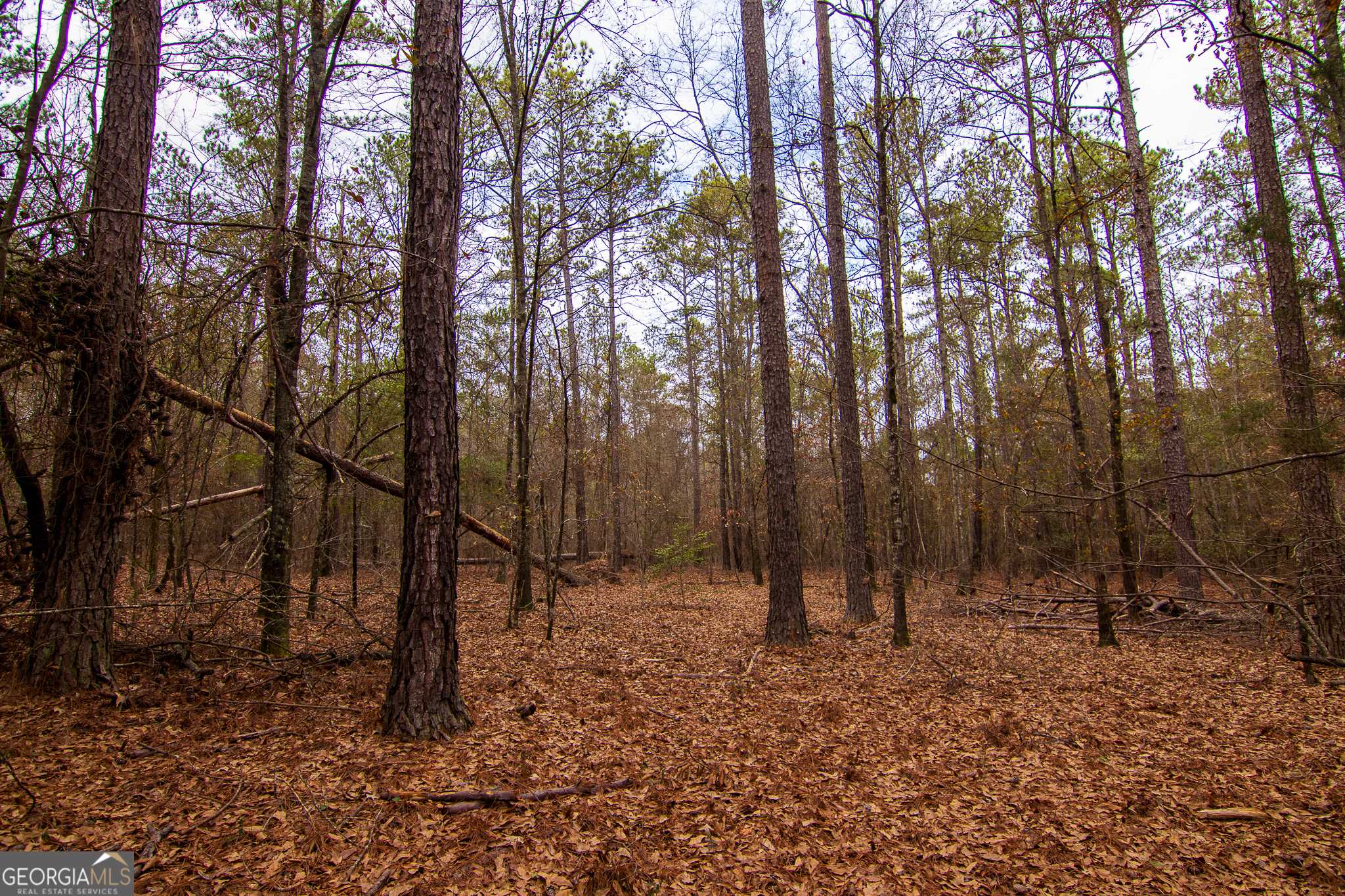Pine Mountain, GA 31822,0 Salem RD