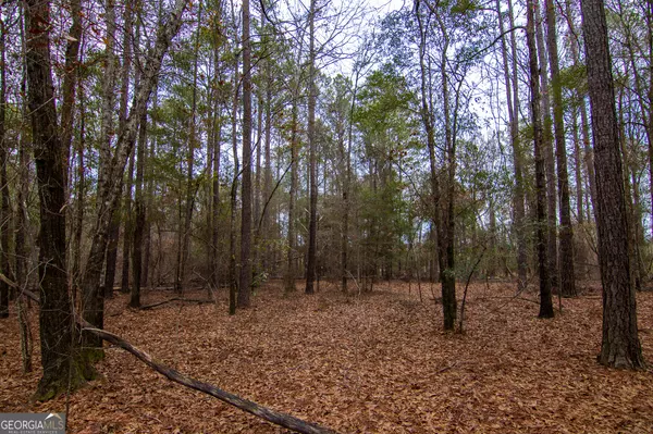 Pine Mountain, GA 31822,0 Salem RD