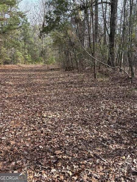 LOT 15 Indian Cove, Lincolnton, GA 30817