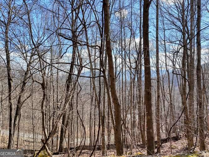 Young Harris, GA 30582,LOT 37 Overlook at Young Harris