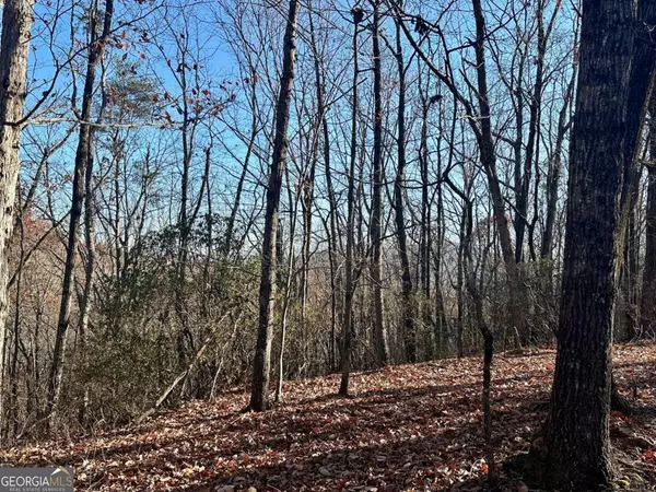 Murrayville, GA 30564,400 Mincey Acres DR
