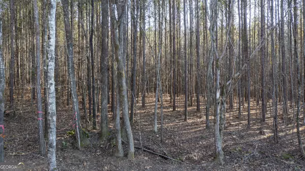 Warm Springs, GA 31830,0 Raleigh RD