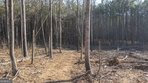 Warm Springs, GA 31830,0 Raleigh RD