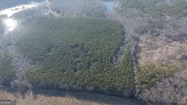 Warm Springs, GA 31830,0 Raleigh RD