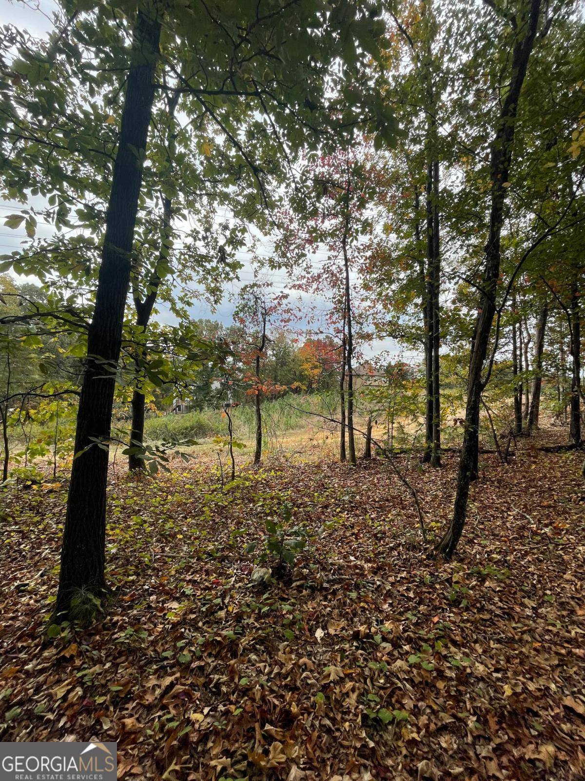 Cartersville, GA 30120,41 Foxfire LN