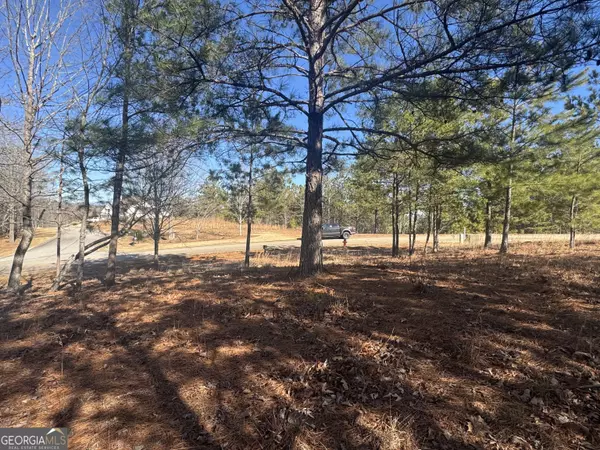 Toccoa, GA 30577,1541 Currahee Club DR