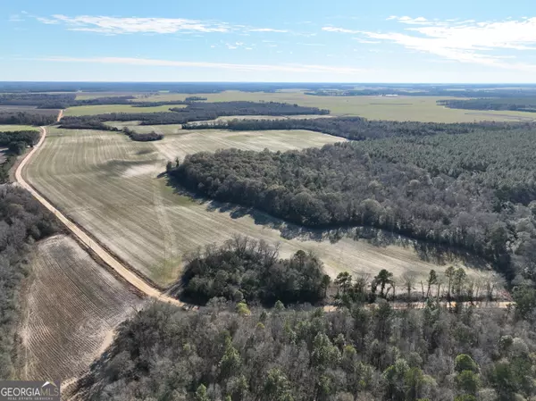 0 Watson RD #LOT#WP001, Vienna, GA 31092