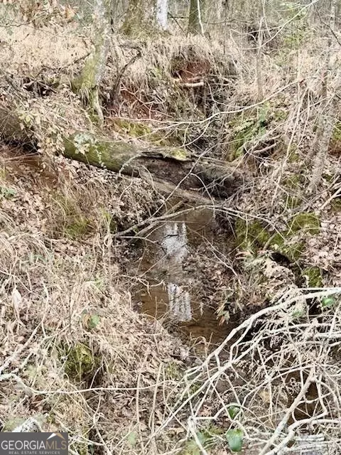 Yatesville, GA 31097,0 Kendall RD