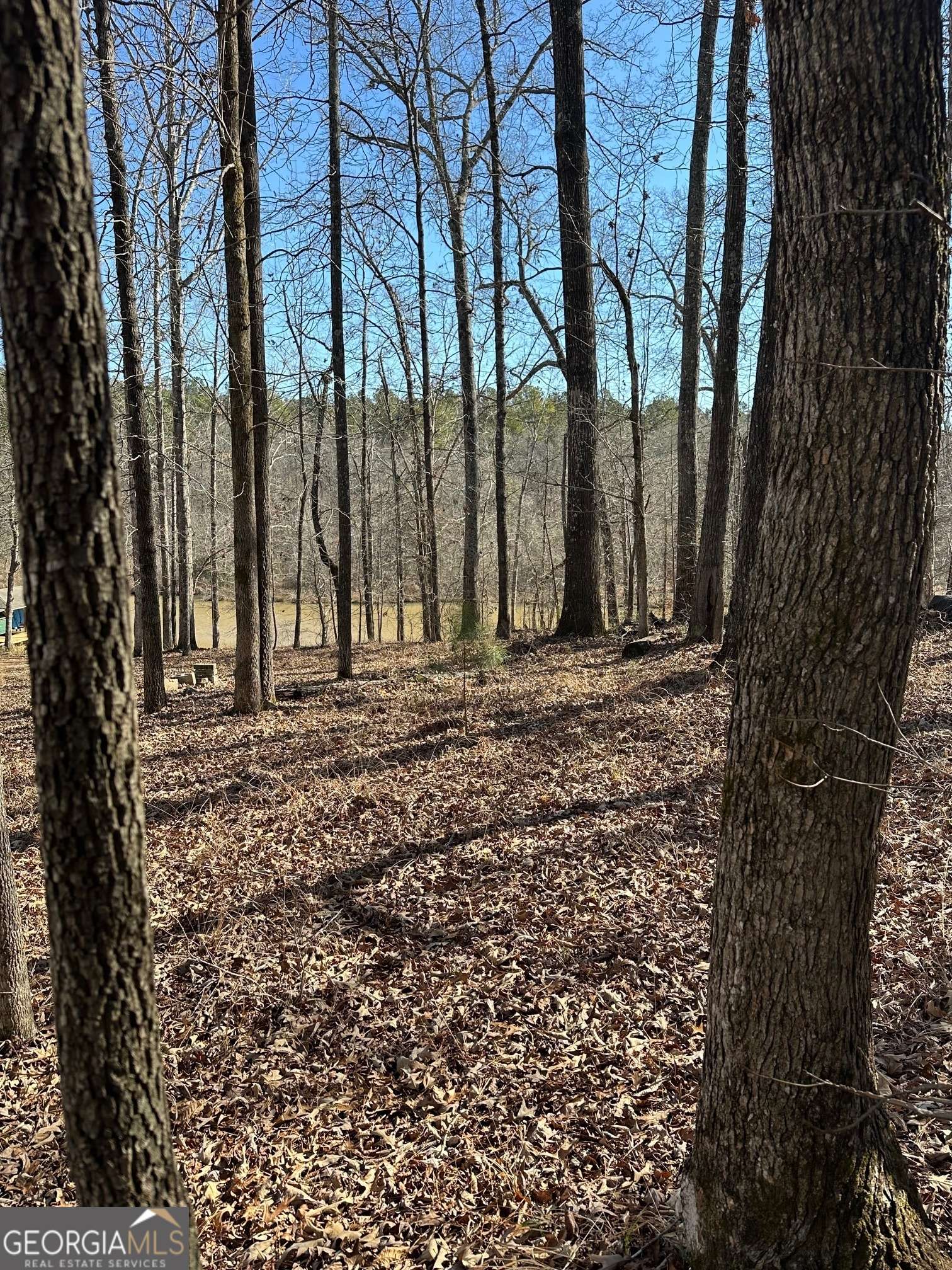 Milledgeville, GA 31061,777 Parham RD NW