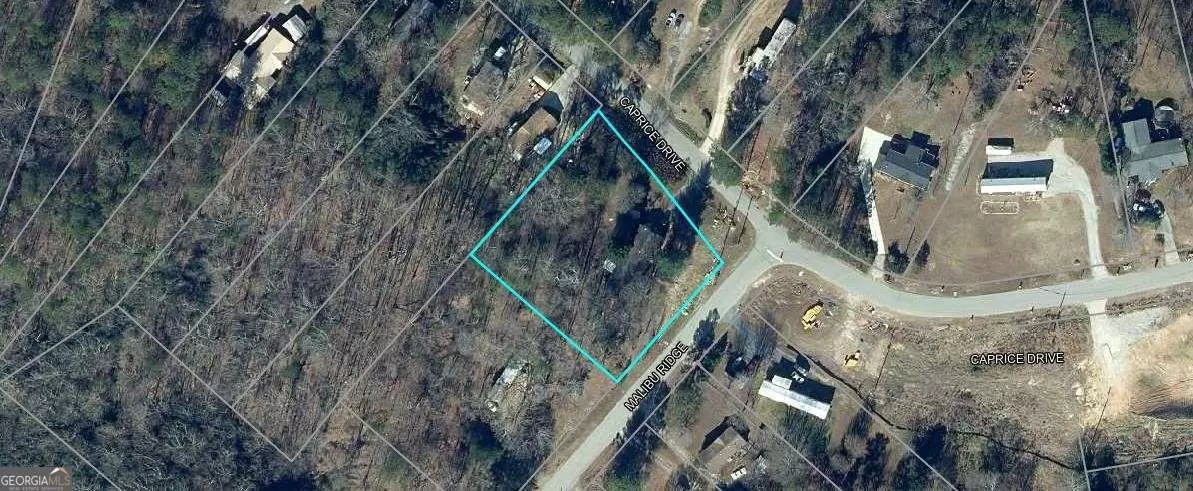 Flowery Branch, GA 30542,6204 Malibu RDG