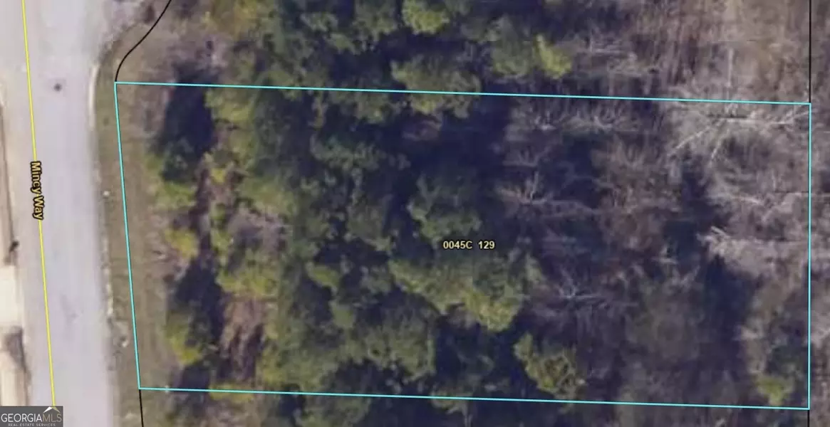 490 Mincy WAY, Covington, GA 30016