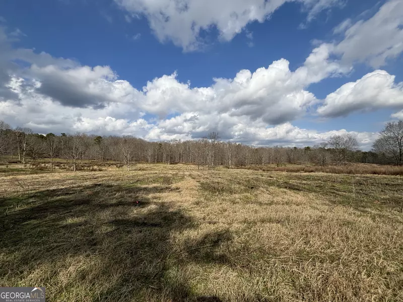 0 Blue Ridge School RD #LOT 5, Forsyth, GA 31029