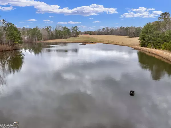 Griffin, GA 30224,46 ACRES LAMAR COUNTY LINE RD