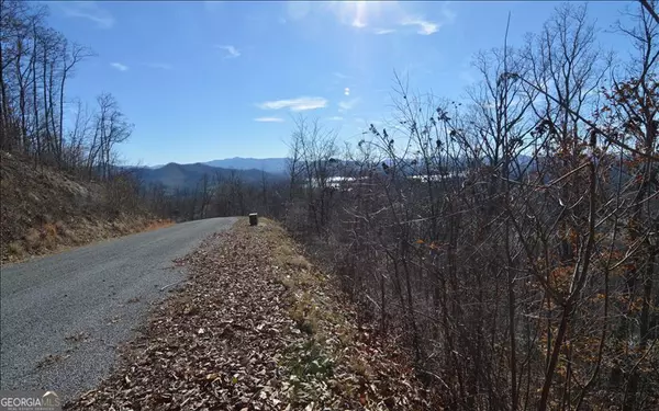 Hayesville, NC 28904,LOT 60M Mountain Harbour