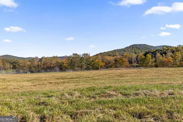 Talking Rock, GA 30175,LOT 11 Bravo WAY